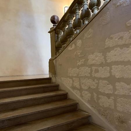 Appartement Cosy Centre Historique 아비뇽 외부 사진