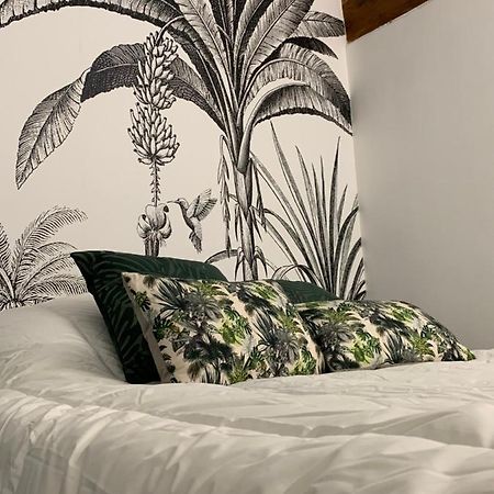 Appartement Cosy Centre Historique 아비뇽 외부 사진